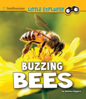 Buzzing_Bees
