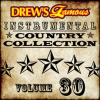 Drew_s_Famous_Instrumental_Country_Collection__Vol__30_