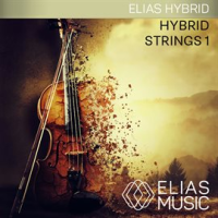 Hybrid_Strings_1