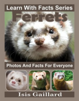 Ferrets_Photos_and_Facts_for_Everyone