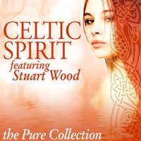 Celtic_Spirit__The_Pure_Collection__feat__Stuart_Wood_