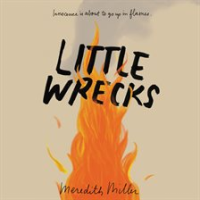 Little_Wrecks