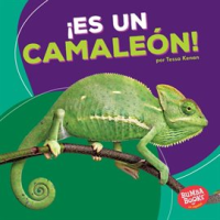 __Es_un_camale__n___It_s_a_Chameleon__
