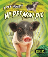 My_Pet_Mini_Pig