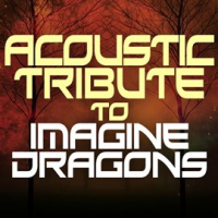 Acoustic Tribute To Imagine Dragons