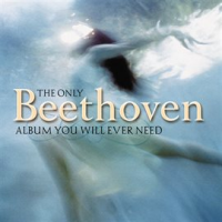 The_Only_Beethoven_Album_You_Will_Ever_Need