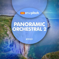 Panoramic Orchestral 2
