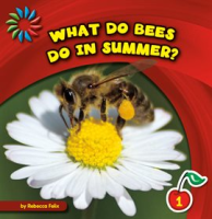 What_Do_Bees_Do_in_Summer_