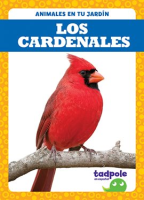 Los_cardenales__Cardinals_