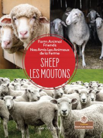 Sheep__Les_moutons_