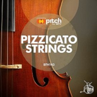 Pizzicato Strings