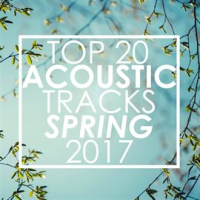 Top_20_Acoustic_Tracks_Spring_2017__Instrumental_