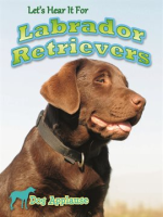Let_s_Hear_It_For_Labrador_Retrievers