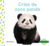 Cr__as_de_osos_panda_Set_2__Panda_Cubs_Set_2_