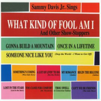 What_Kind_Of_Fool_Am_I___Other_Show_Stoppers