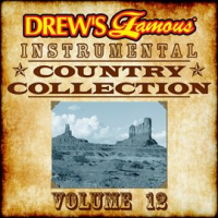 Drew's Famous Instrumental Country Collection, Vol. 12