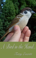 A_Bird_in_the_Hand