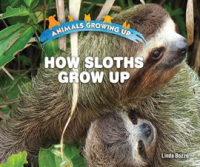How_Sloths_Grow_Up