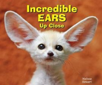 Incredible_Ears_Up_Close