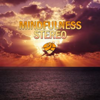 Mindfulness_Stereo__Vol__8