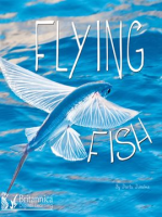 Flying_Fish