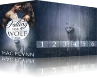 Falling_For_A_Wolf_Box_Set