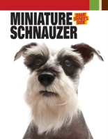 Miniature_Schnauzer