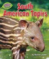 South_American_Tapirs