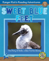 Sweet_Blue_Feet