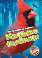 Northern_Cardinals