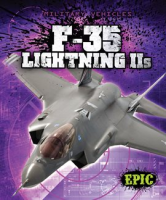 F-35_Lightning_II_s