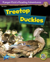 Treetop_Duckies