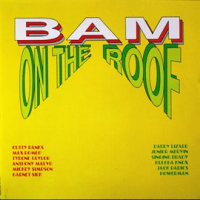 Bam_On_The_Roof