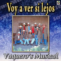 Joyas_Musicales__Vol__1__Voy_A_Ver_Si_Lejos