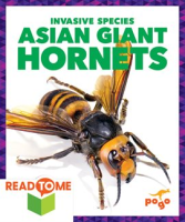 Asian_Giant_Hornets