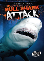 Bull_Shark_Attack