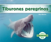 Tiburones_peregrinos__Basking_Sharks_