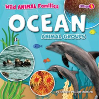 Ocean_Animal_Groups