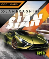 Lamborghini_Si__n