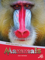 Animals_Have_Classes_Too__Mammals__Grades_1_-_3