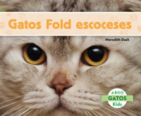 Gatos_Fold_escoceses