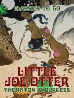 Little_Joe_Otter
