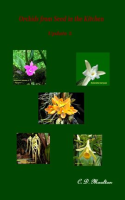 Orchids_From_Seed_in_the_Kitchen_Update_2