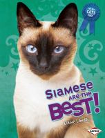 Siamese_are_the_best_