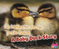 La_historia_de_un_pato_beb___A_Baby_Duck_Story