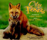City_foxes