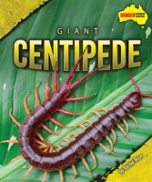 Giant_Centipede