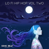 Lo-Fi_Hip_Hop__Vol_2