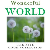 Wonderful_World__The_Feel_Good_Collection