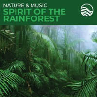 Nature___Music__Spirit_Of_The_Rainforest